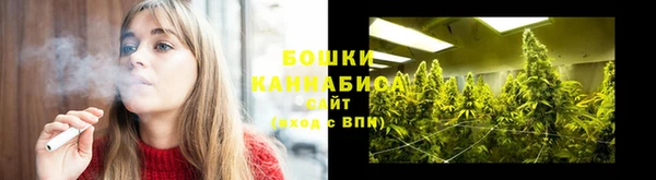 молекула духа Белокуриха