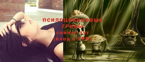 соль ск Белоозёрский