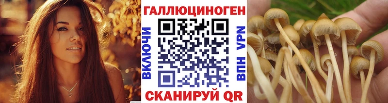 OMG ССЫЛКА  Куровское  Галлюциногенные грибы GOLDEN TEACHER 